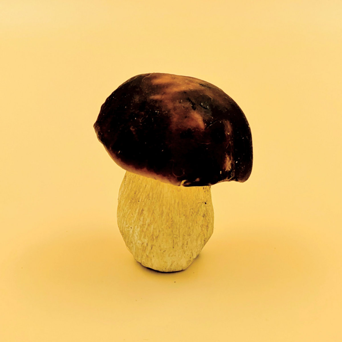 Oblee album Inconsiderate